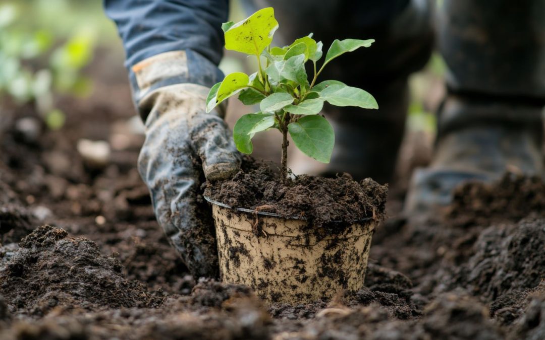 The Sustainability Award